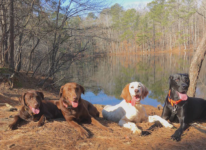 web1_TailsOnTrailsATL_Atlanta100