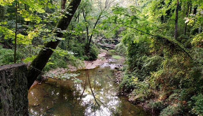 Cascade Springs Nature Reserve creek