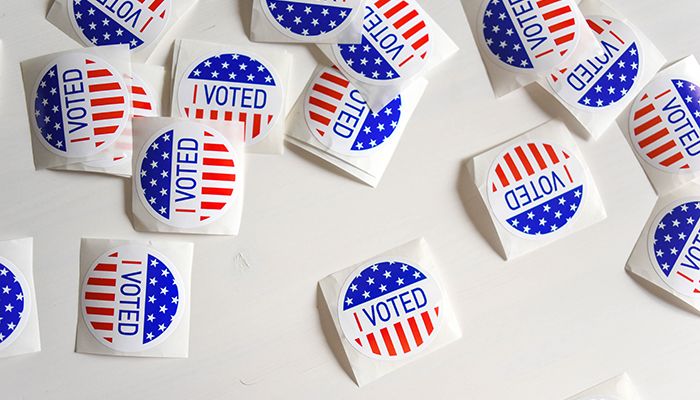 Georgia-Voting-Details
